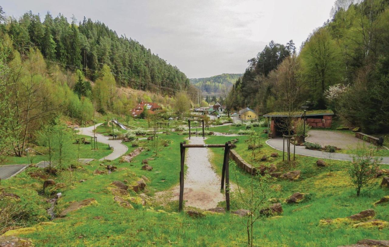 Cozy Apartment In Hinterweidenthal With Sauna Esterno foto