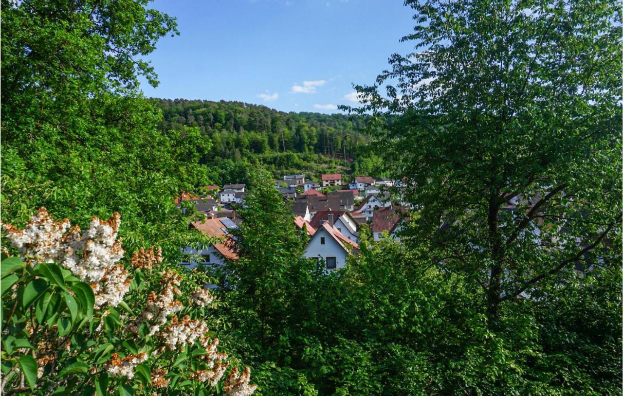 Cozy Apartment In Hinterweidenthal With Sauna Esterno foto